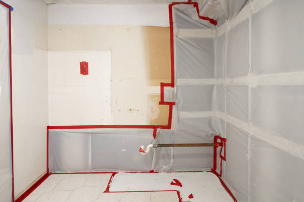 Best Comprehensive Air Testing for Mold Contaminants  in San Felipe, TX